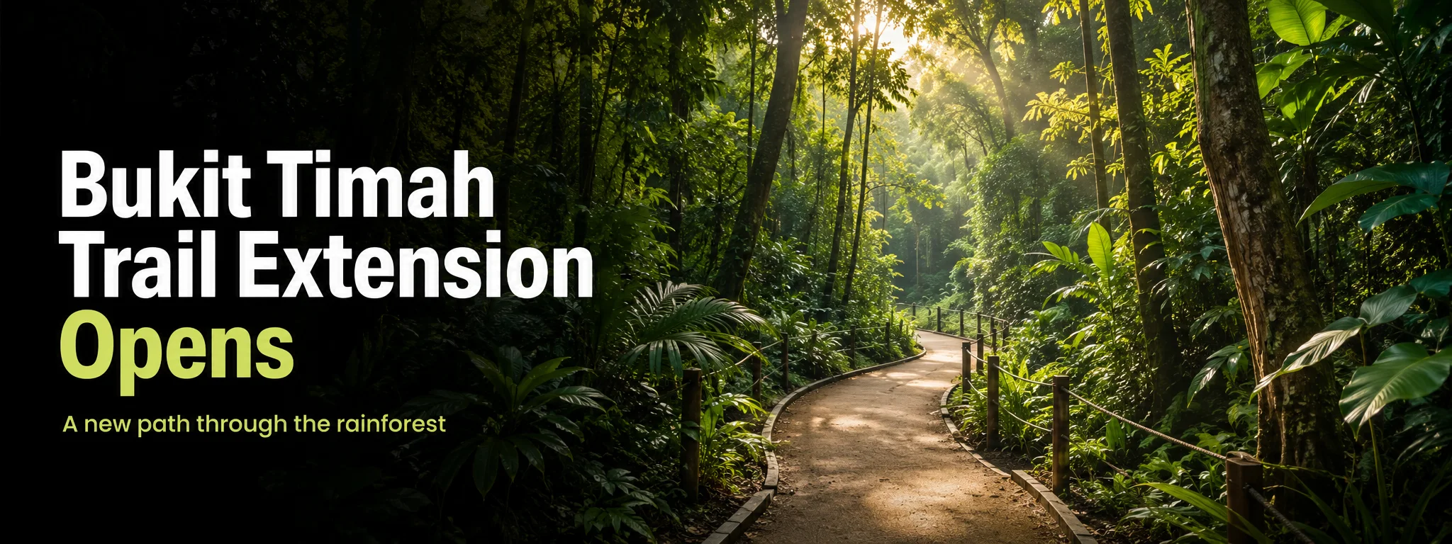 Bukit Timah Trail Extension Opens